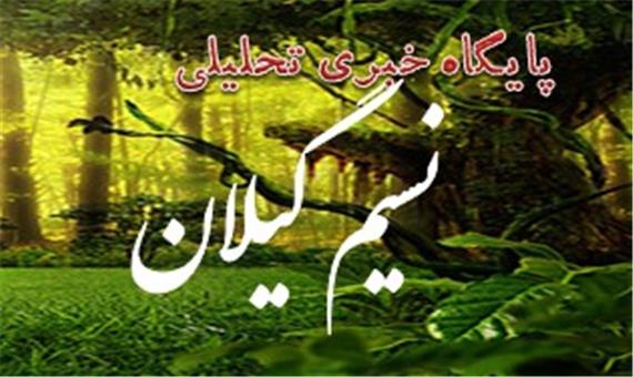 افزایش بافندگان فرش گیلان نیازمند حمایت های بیمه ای