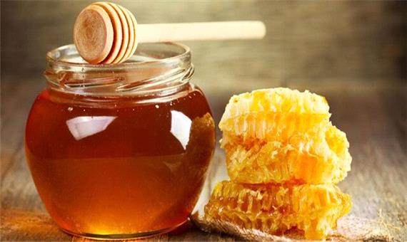 تنوع گیاهی از دلایل خوش طعم بودن عسل گیلان