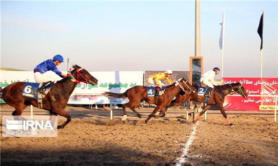 وجود 23 هزار اسب مسابقه در ایران
