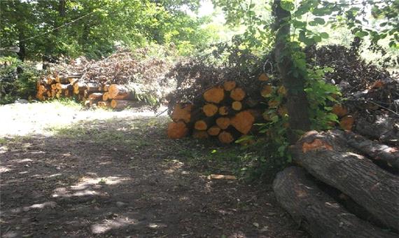 کشف 40 تن چوب جنگلی قاچاق در رودسر