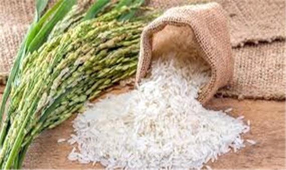 افزایش تولید ارقام پرمحصول برنج در گیلان
