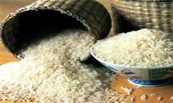 15 زنجیره تولید برنج در گیلان شناسایی شد