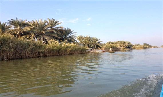 رونق اقتصاد محلی با احیا و آبگیری تالاب‌های خوزستان