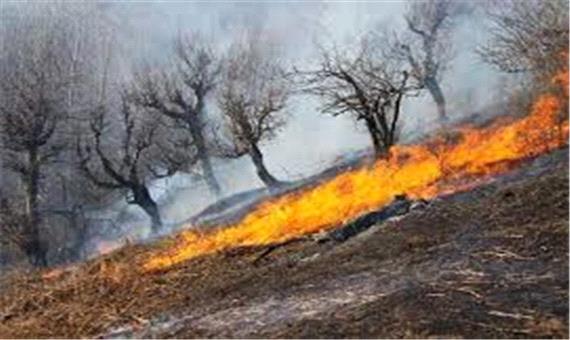 اینفوگرافی/ آتش‌سوزی‌های جنگلی در خرداد 99 نسبت به خرداد 98