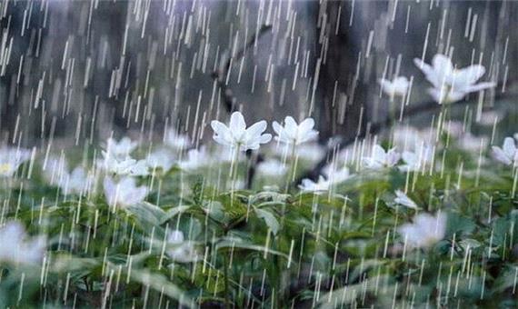آغاز بارش باران در گیلان/ دمای هوا 4 تا 8 درجه کاهش می یابد