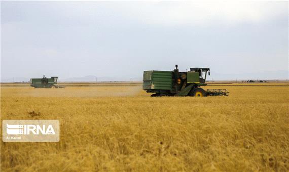 بیش از یک هزار تن گندم از کشاورزان گیلان خریداری شد