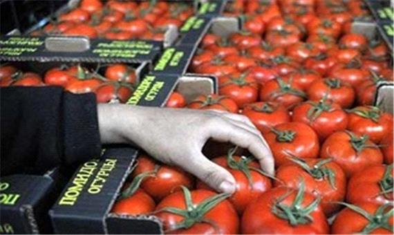 توضیح درباره دیپورت گوجه‌های ایرانی از عراق