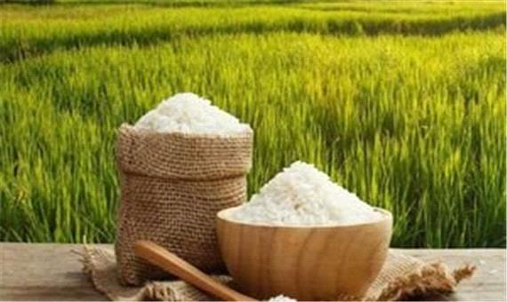 افزایش سازگاری ذائقه مردم جهان با برنج ایرانی
