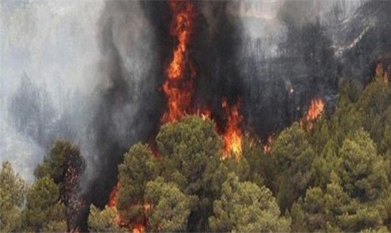 استفاده از بالگرد اطفاء به‌سرعت می‌توانست از گسترش آتش در جنگل‌های ماسال بکاهد