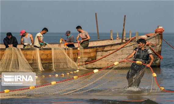 صید 247 تن انواع ماهی از آبهای ساحلی  گیلان