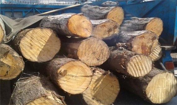 کشف و ضبط 15 تن چوب قاچاق در اتوبان سیاهکل