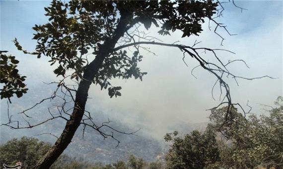 جنگل‌های حیران در آتش؛ تردد در محور مواصلاتی اردبیل-آستارا ممنوع شد