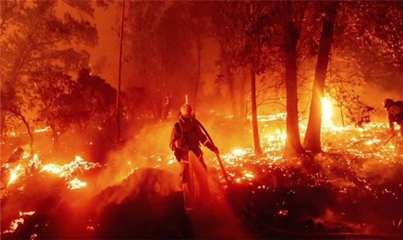 حریق  100 هکتاری ماحصل پیکار یک ‌هفته‌ای آتش در جنگل‌های گیلان