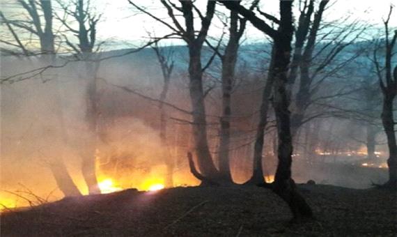 دانشجویان جهادگران در صورت بروز دوباره آتش‎‌سوزی در جنگل‌های تالش آماده خدمت‌رسانی هستند