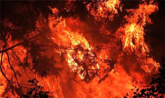 مقصرا آتش سوزی در گیلان؛ گرمای هوا یا عامل انسانی؟