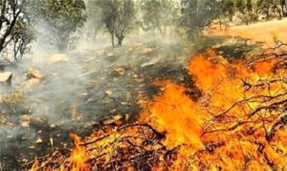 آتش‌سوزی جنگلی محدوده ایران مهار شده است