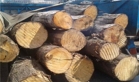 کشف 11 تن چوب قاچاق در ماسال