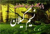 دیدار مجازی معاون رئیس جمهور در امور زنان و خانوده با وزیر حقوق بشر پاکستان