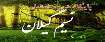 پزشکیان: واگذاری کریدور زنگزور به آمریکا مشکلی برای ایران ایجاد نمی‌کند