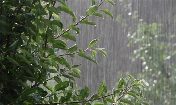 کاهش 12 درجه‌ای دمای هوا و آغاز بارش باران در گیلان