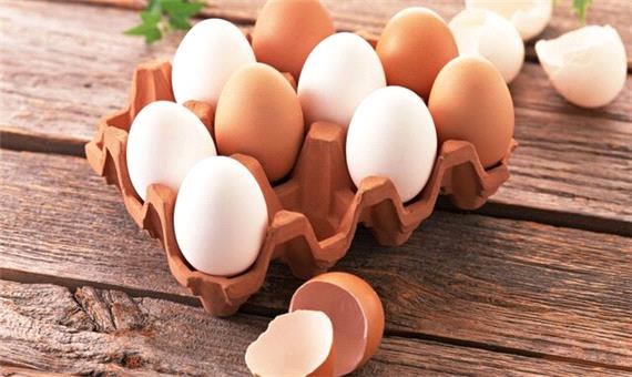 توقیف محموله 14 تنی تخم‌مرغ فاقد مجوز در رودسر