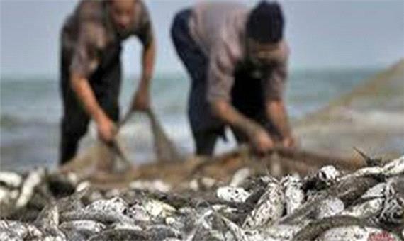 صید بیش از 1000 تن ماهی استخوانی در دریای خزر
