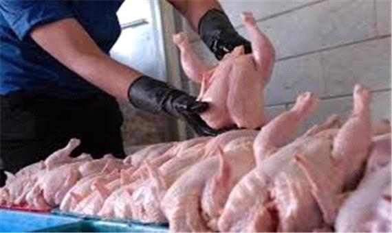 توزیع روزانه  320 تن مرغ گرم در بازار گیلان