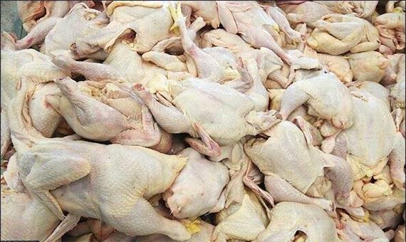 توقیف محموله 1300 کیلوگرمی گوشت مرغ فاقد مجوز در رودسر