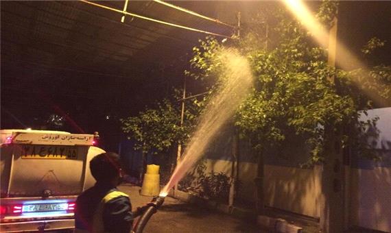 آبشویی بیش از 24 هزار اصله درخت در شمال شرق پایتخت