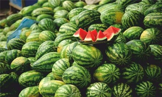 پیش‌بینی برداشت بالغ بر 66 هزار تن هندوانه در گیلان