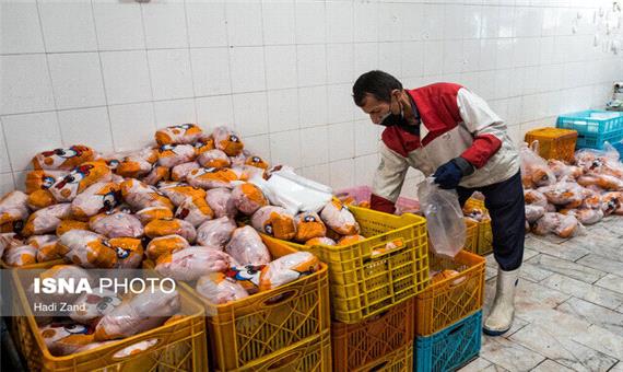 برخورد قانونی با مسامحه کنندگان در نظارت بر توزیع و افزایش قیمت مرغ در گیلان