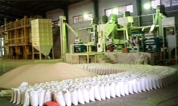 کاهش 40 هزار تنی ضایعات برنج با نوسازی کارخانه های شالیکوبی