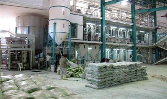 کاهش ضایعات برنج با اصلاح ساختار کارخانه‌های برنجکوبی