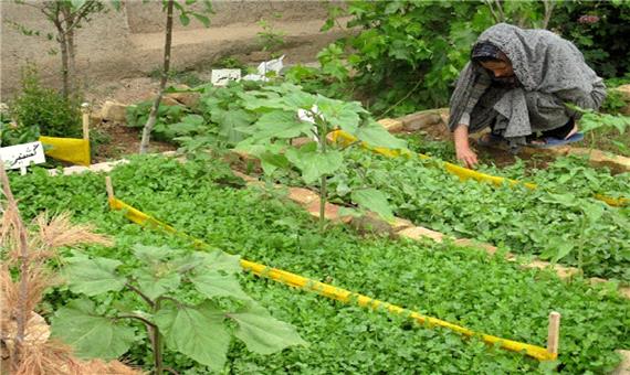 توسعه باغچه‌های خانگی در روستا‌های گیلان
