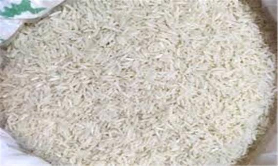 کاهش تولید برنج دم‌سیاه در آستانه اشرفیه