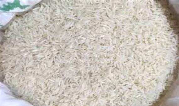 تولید برنج دم‌سیاه در آستانه اشرفیه کاهش یافت