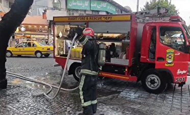 مهار آتش سوزی یک اصله درخت در مرکز رشت