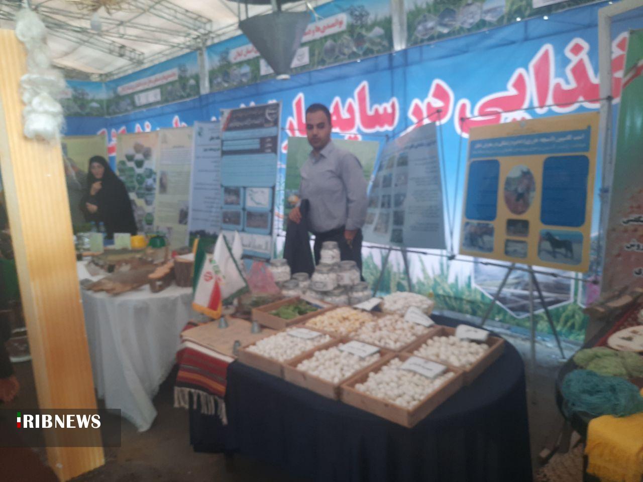 نسیم گیلان