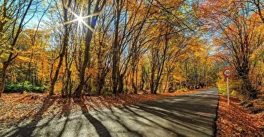 تداوم پایداری هوای گیلان