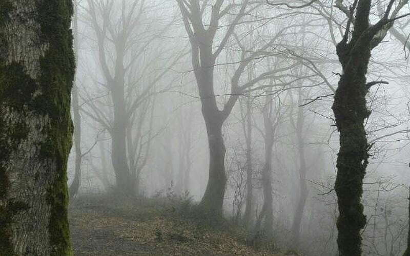 فوت کوهنورد لاهیجانی در مسیر «جنگل تاریک»