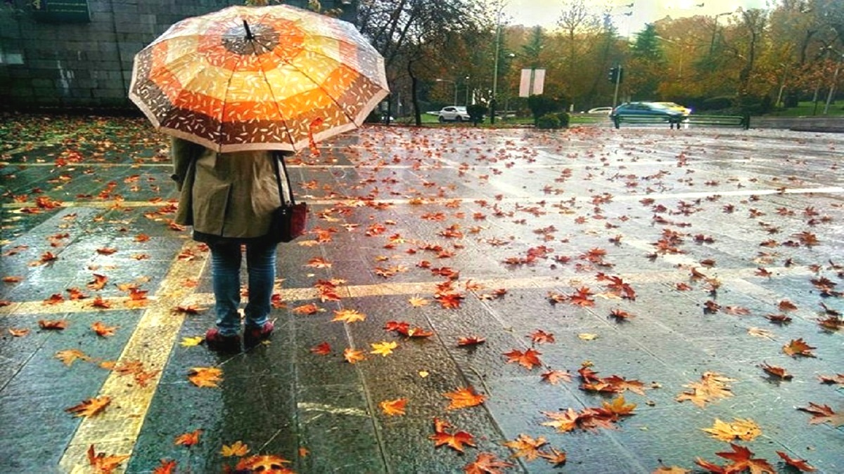 تداوم بارش باران در مناطق مختلف گیلان