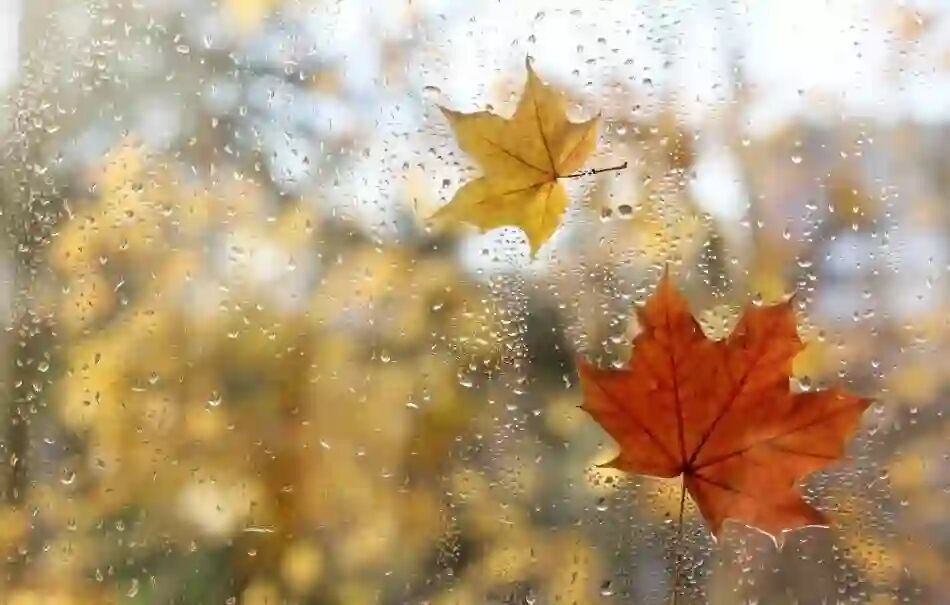 بارندگی در ارتفاعات و دامنه‌های گیلان شدت می‌گیرد