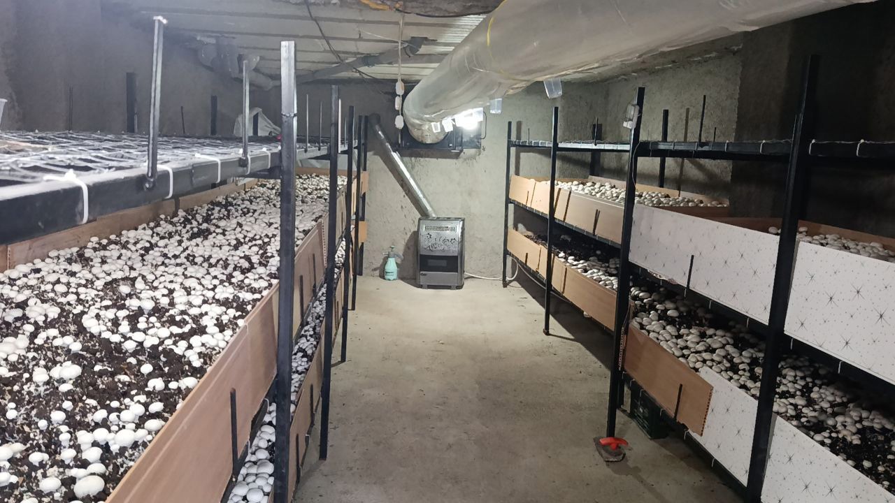 سهم ۷ هزار میلیارد تومانی بخش خصوصی در طرح‌های افتتاحی دهه فجر