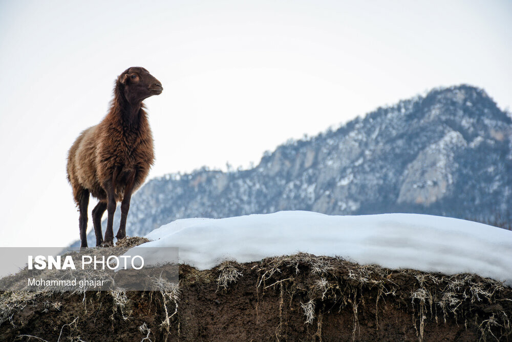 پایداری هوای گیلان طی ۷۲ ساعت آینده