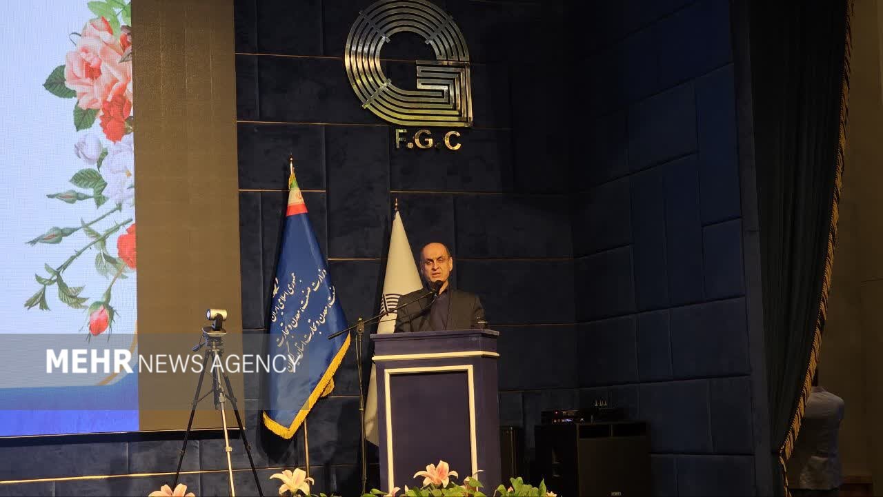 حق شناس: مدیریت مصرف انرژی و سوخت در گیلان اولویت دولت است