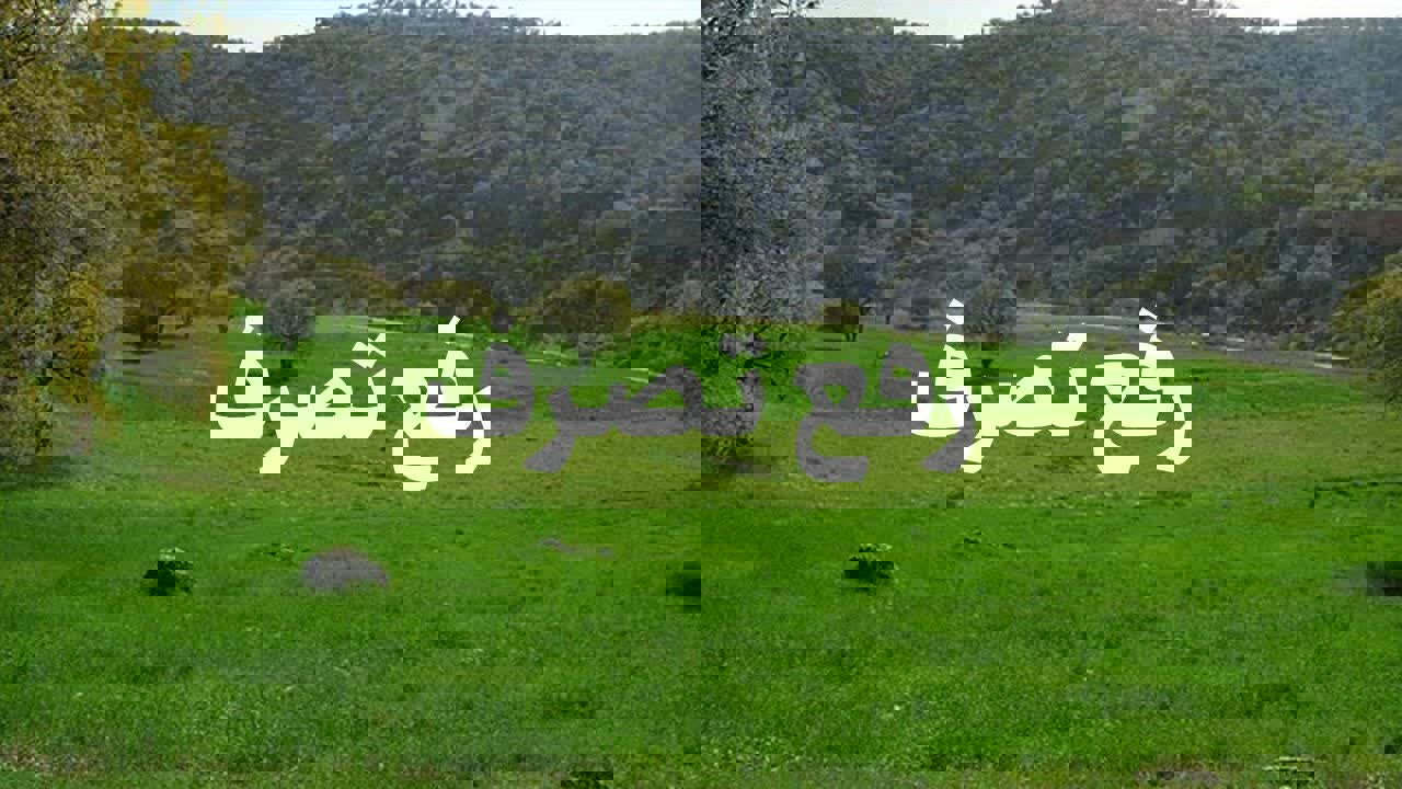 سرهنگ شادبهر: بیش از ۴ هزار متر از اراضی ملی رضوانشهر رفع تصرف شد