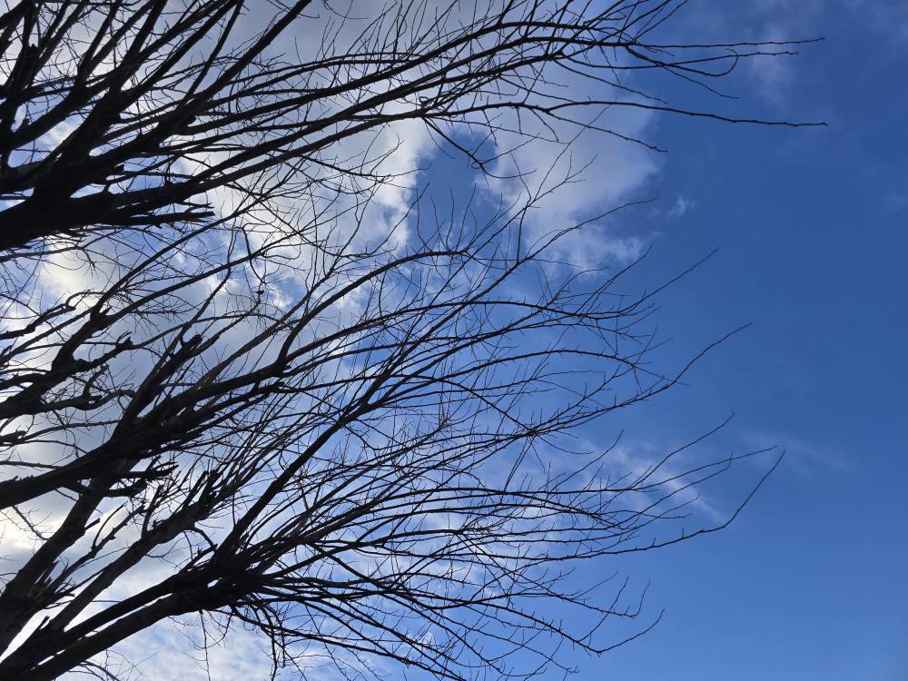 پایداری هوا تا اواسط هفته پیش رو در گیلان