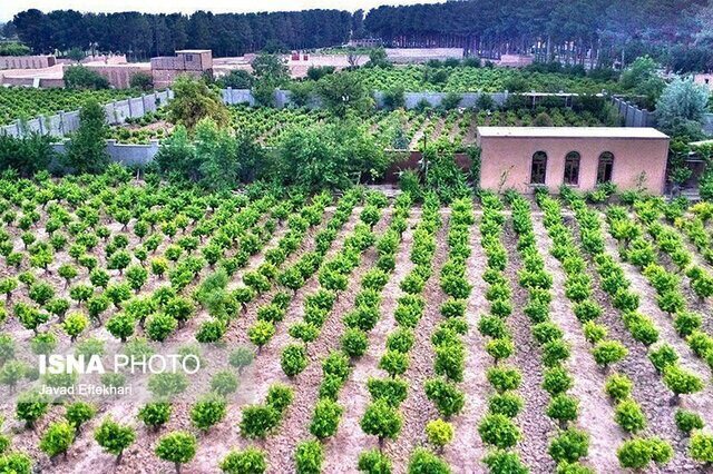 توزیع بیش از ۲۸ هزار تن کود کشاورزی در گیلان