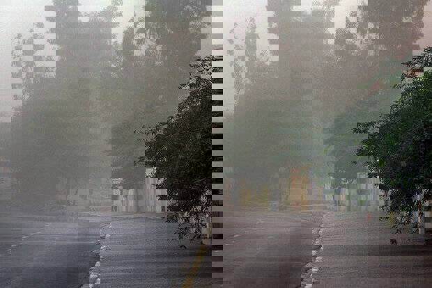 صدور هشدار سطح زرد هواشناسی در گیلان؛ مه‌آلودگی و باد شدید در راه است