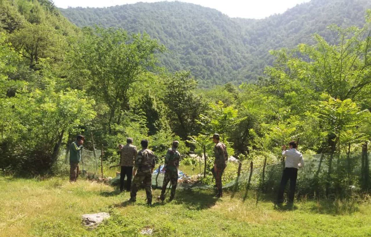 نسیم گیلان